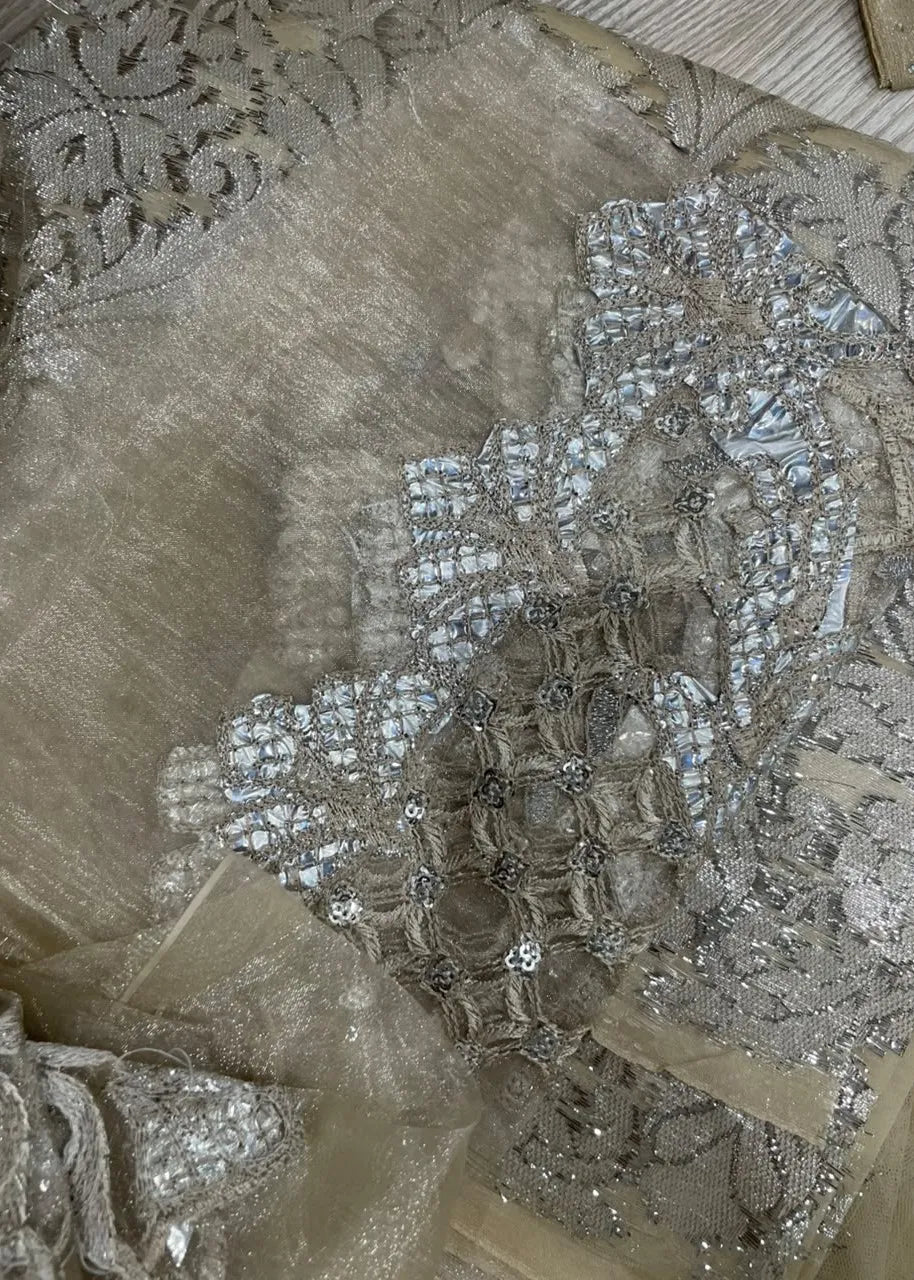 Maria B Embroidered Net Saree MB19WE