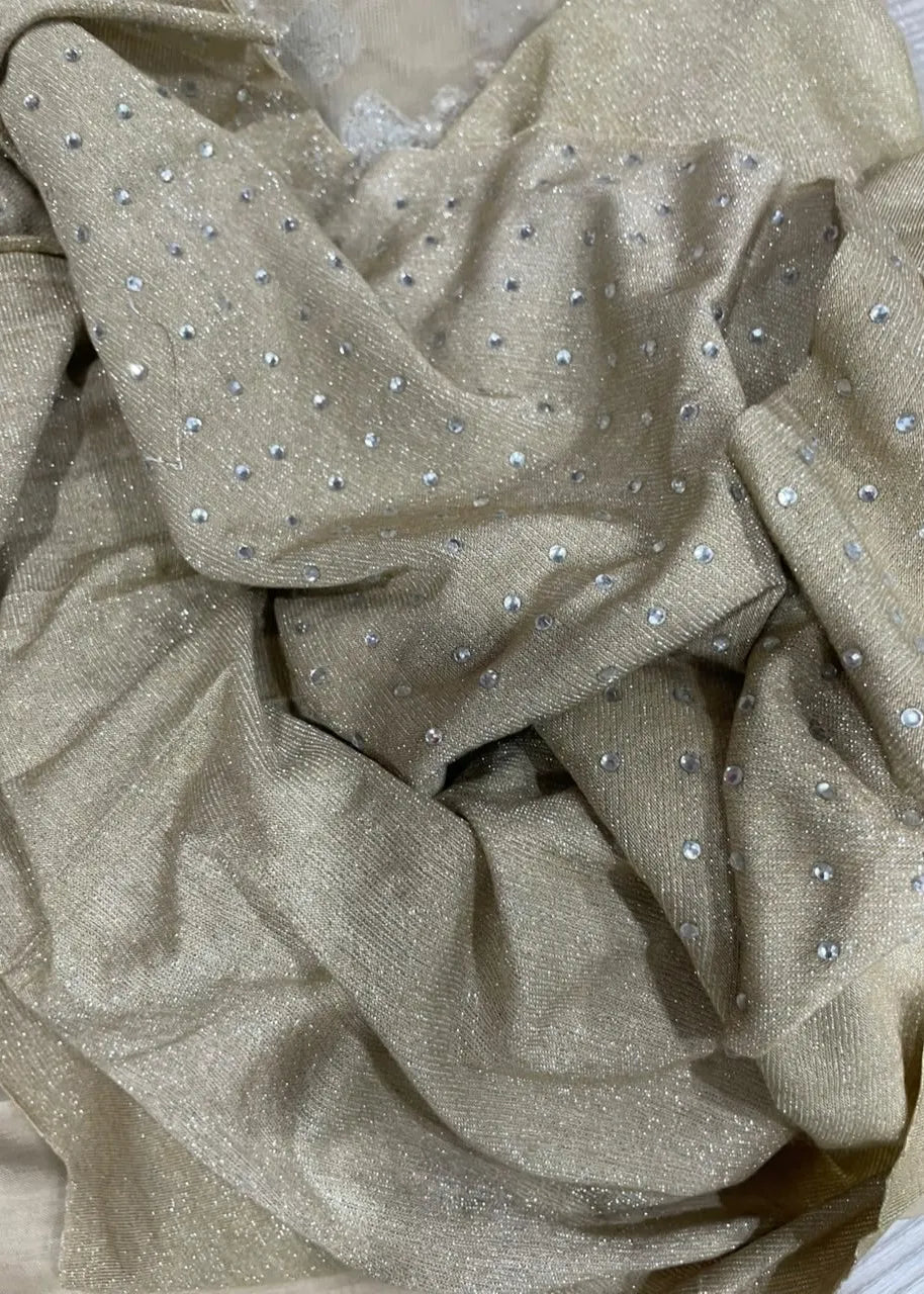 Maria B Embroidered Net Saree MB19WE